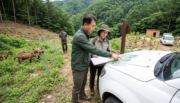 호수뉴스 이미지