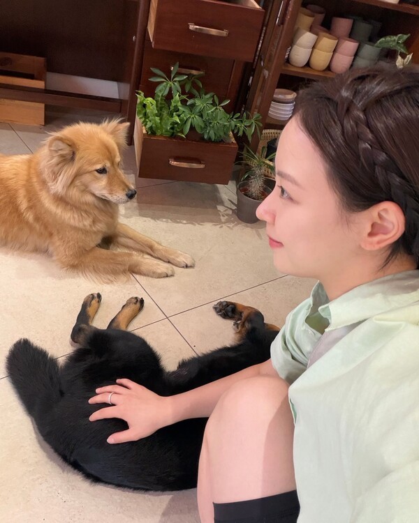 호수뉴스 이미지