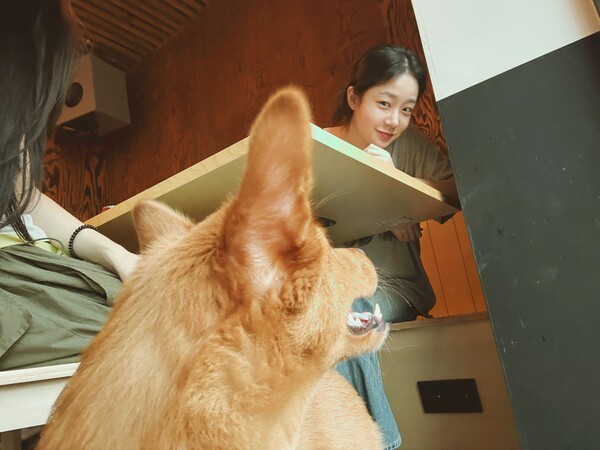 호수뉴스 이미지