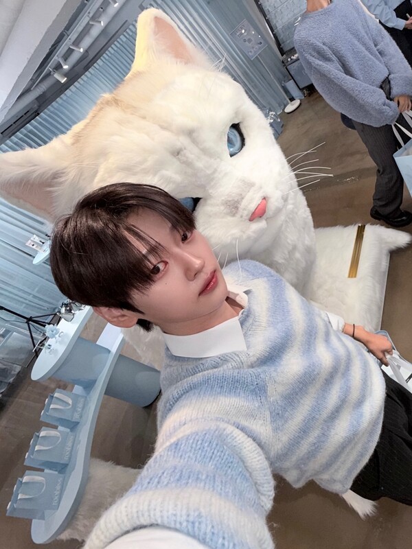 호수뉴스 이미지