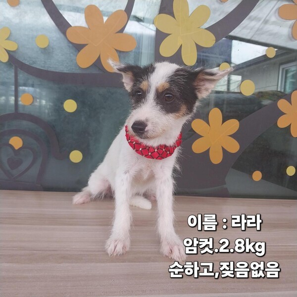 호수뉴스 이미지