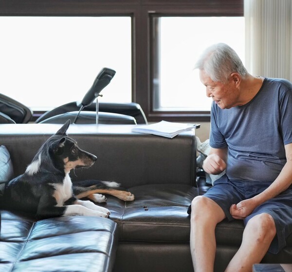 호수뉴스 이미지