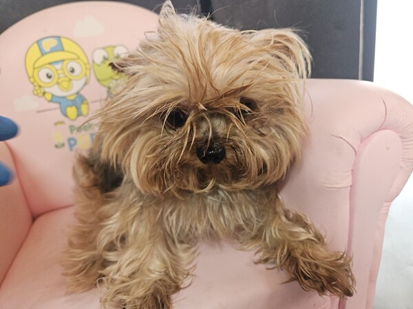 호수뉴스 이미지