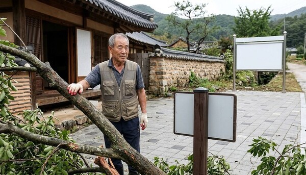 호수뉴스 이미지