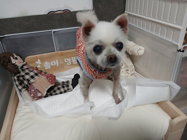 호수뉴스 이미지