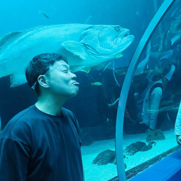 호수뉴스 이미지
