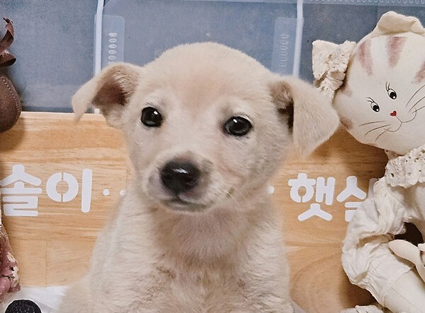 호수뉴스 이미지