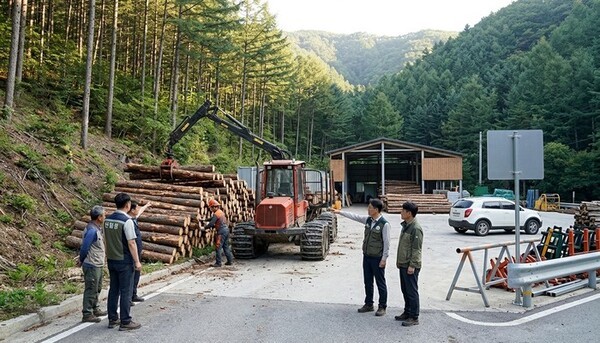 호수뉴스 이미지