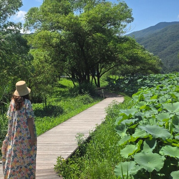 호수뉴스 이미지