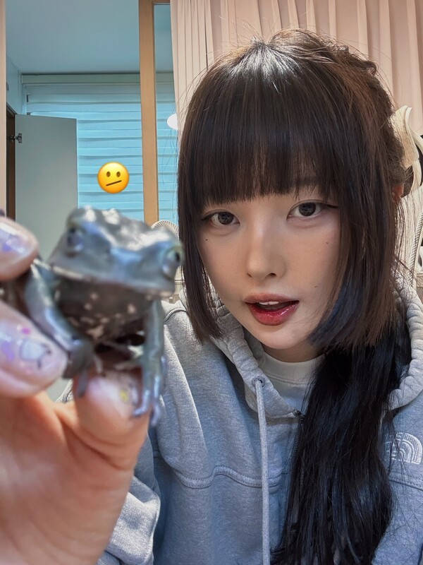 호수뉴스 이미지