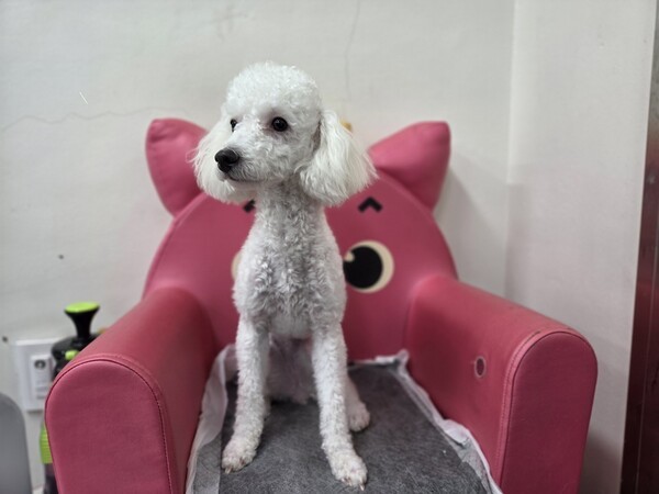 호수뉴스 이미지