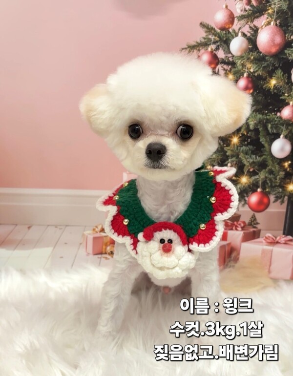 호수뉴스 이미지