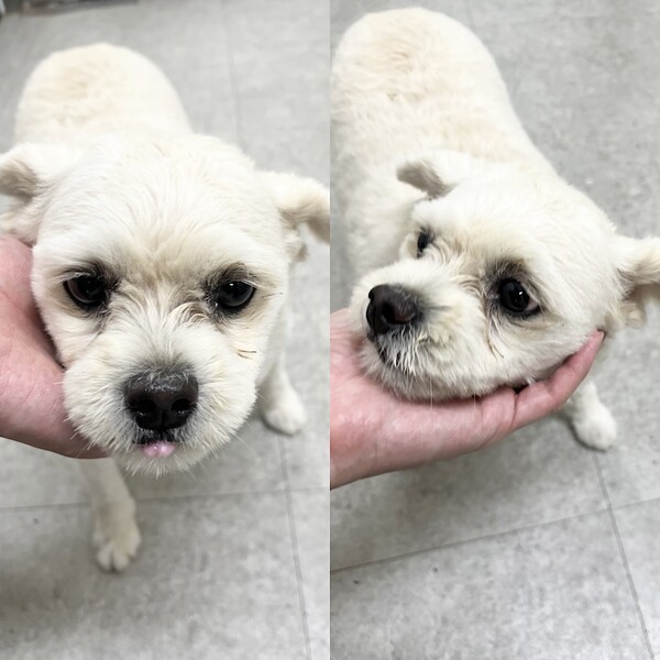 호수뉴스 이미지
