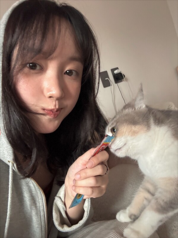 호수뉴스 이미지