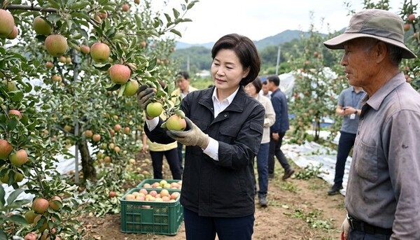 호수뉴스 이미지