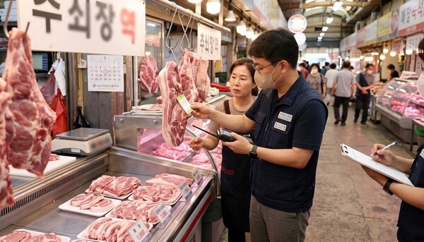 호수뉴스 이미지