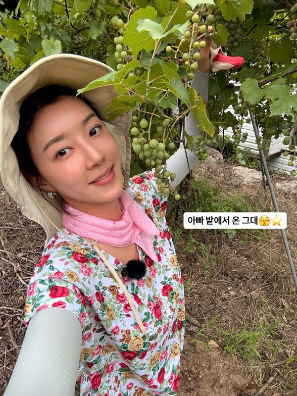 호수뉴스 이미지