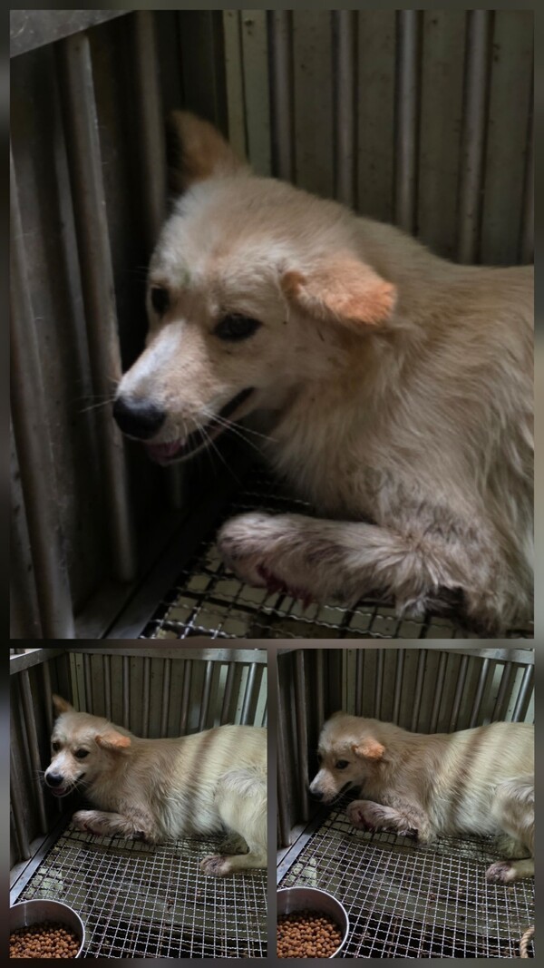 호수뉴스 이미지