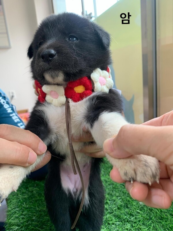 호수뉴스 이미지