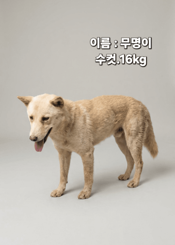 호수뉴스 이미지