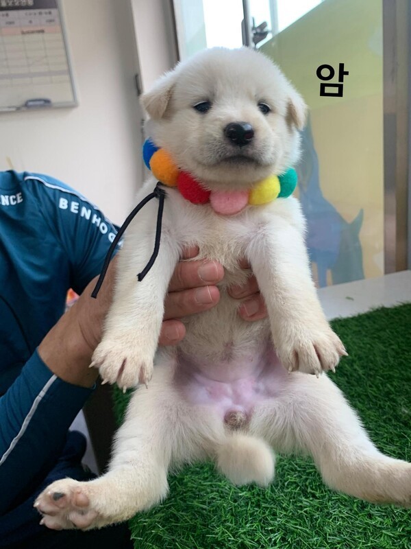 호수뉴스 이미지