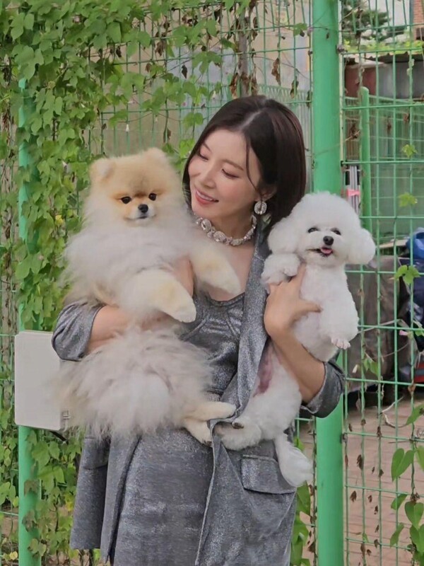 호수뉴스 이미지