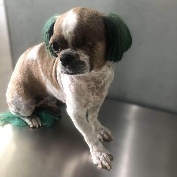 호수뉴스 이미지