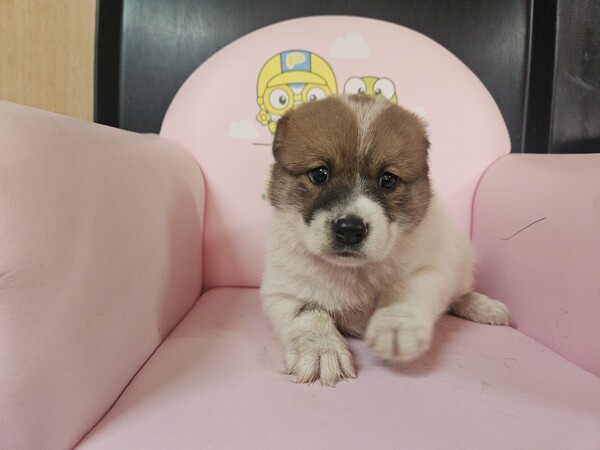 호수뉴스 이미지