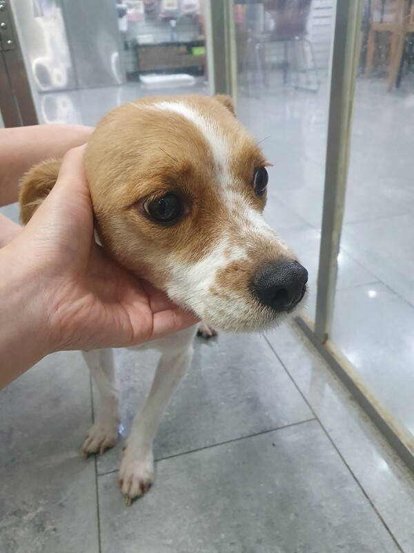 호수뉴스 이미지