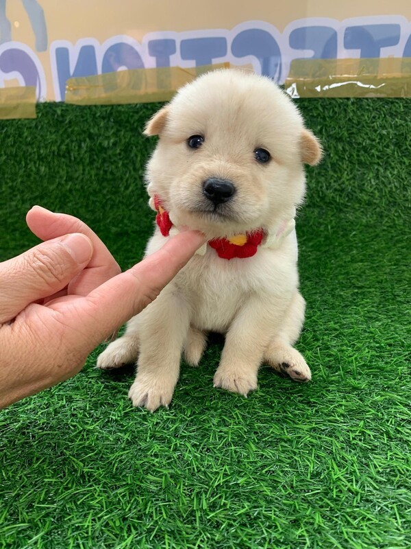 호수뉴스 이미지
