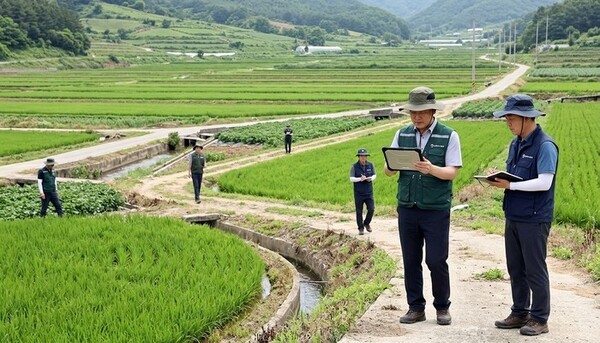 호수뉴스 이미지