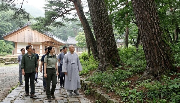 호수뉴스 이미지
