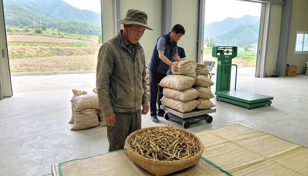 호수뉴스 이미지