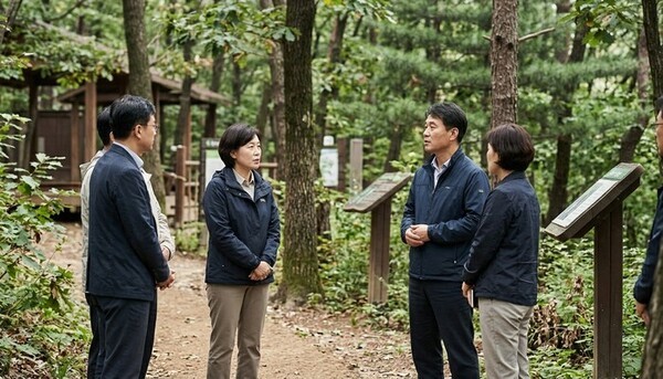 호수뉴스 이미지