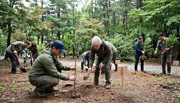 호수뉴스 이미지