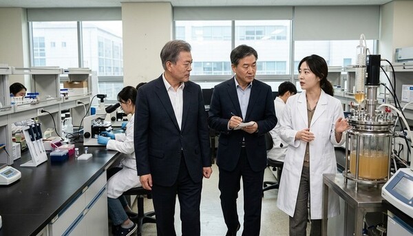 호수뉴스 이미지
