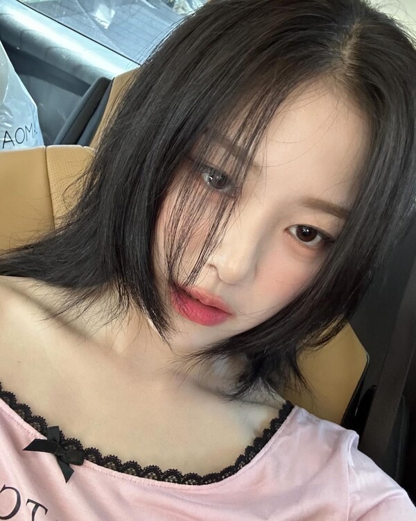 호수뉴스 이미지