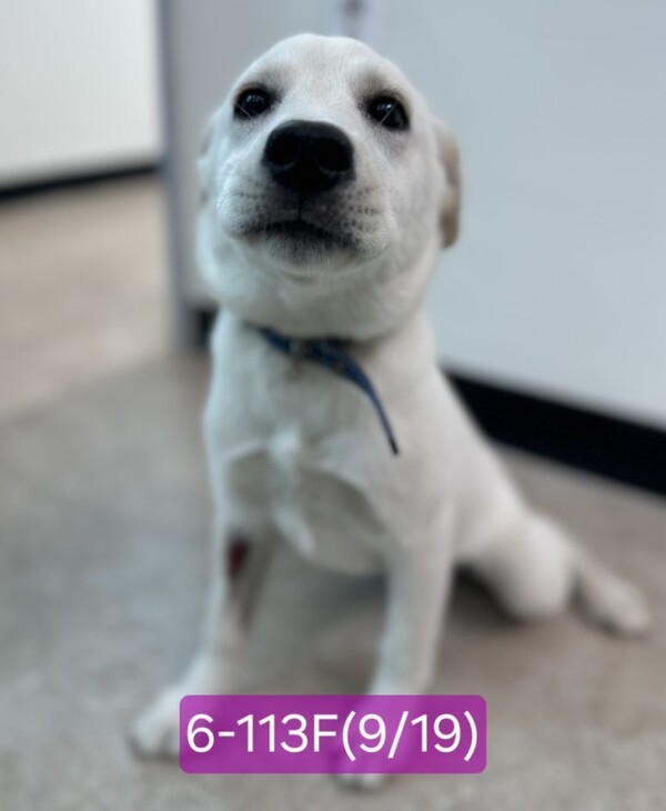 호수뉴스 이미지