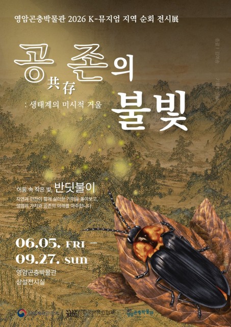 호수뉴스 이미지